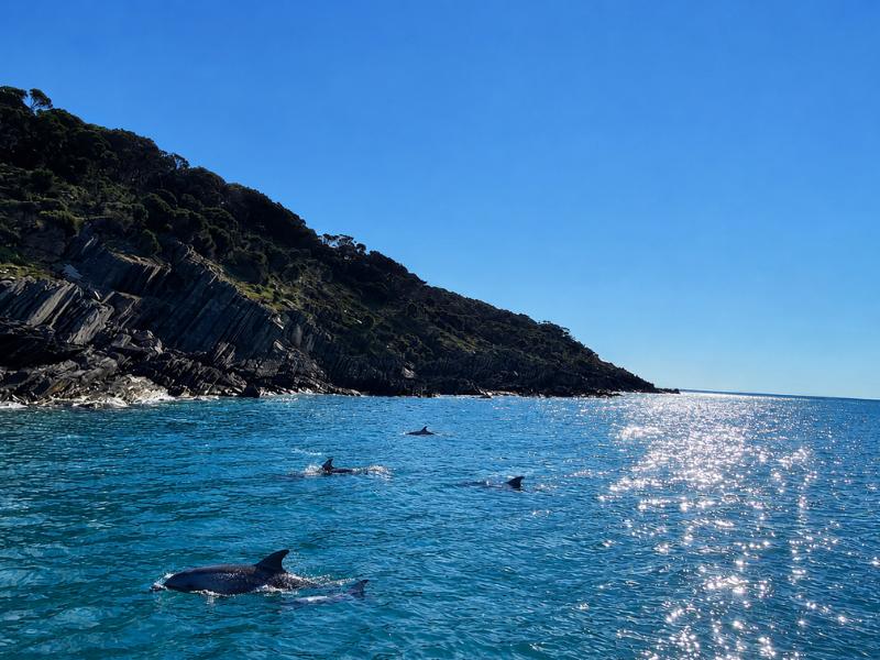 75-Minute Kangaroo Island Coastal Wildlife Safari