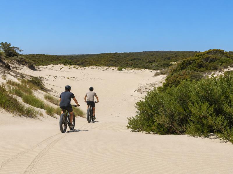 Kangaroo Island Electric Fat Bike Tour – Beaches & Wildlife
