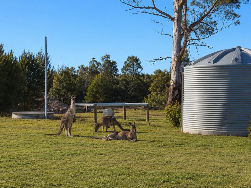 Kangaroo Island Small Group 2-Day Wildlife Adventure Tour