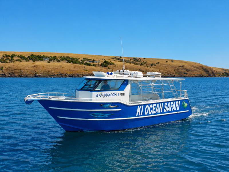 Kangaroo Island Wildlife Swim Tour with Dolphins & Seals