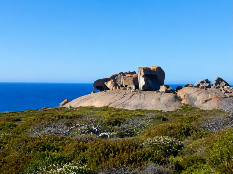 mission of Kangaroo Island Australia Tours